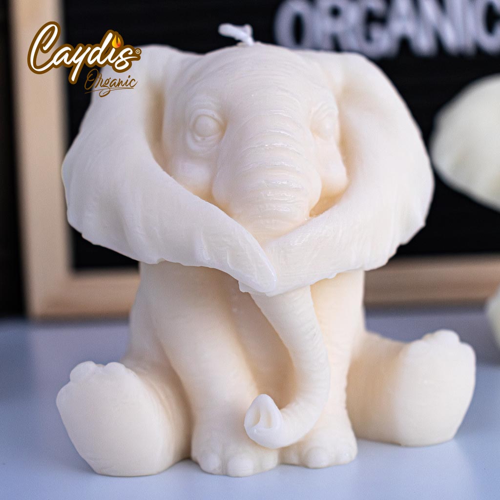 ESCULTURAS_ORGANICAS_CAYDIS-1