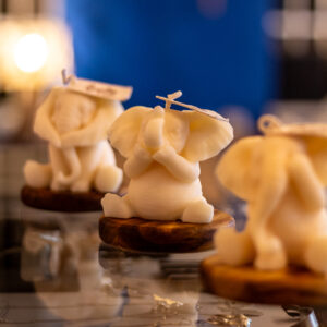 Elefante "Silencio Consciente"