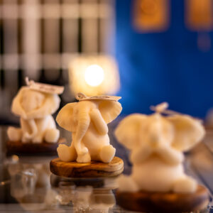 Elefante "Mirar con intención"