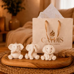 Ritual Home Decor set elefantes sabios